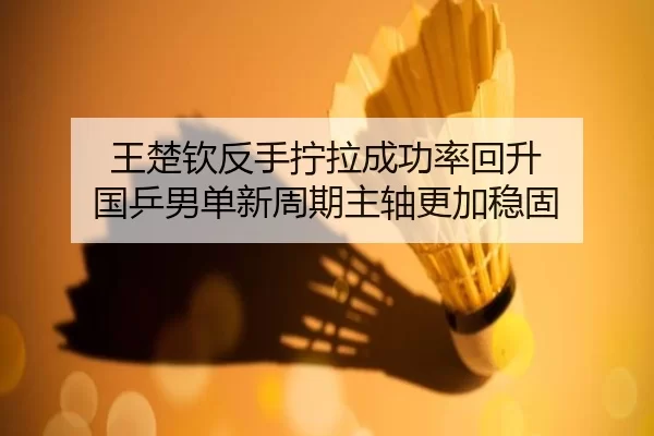 王楚钦反手拧拉成功率回升 国乒男单新周期主轴更加稳固